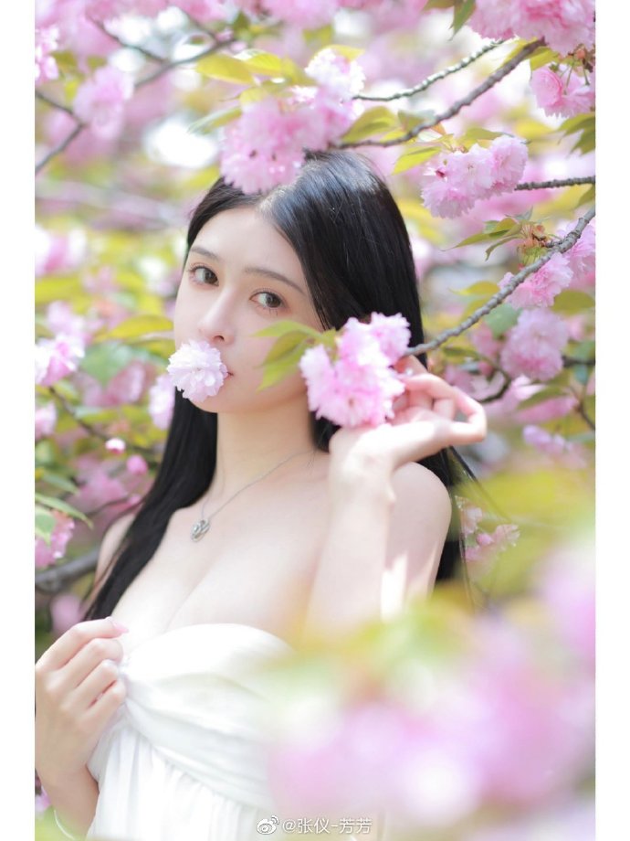 龙猫